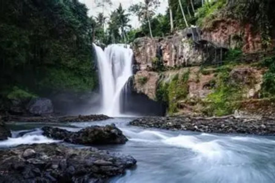 Ubud Private Tour