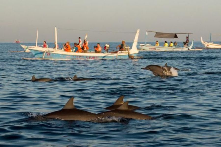 North Bali tour - Image 3