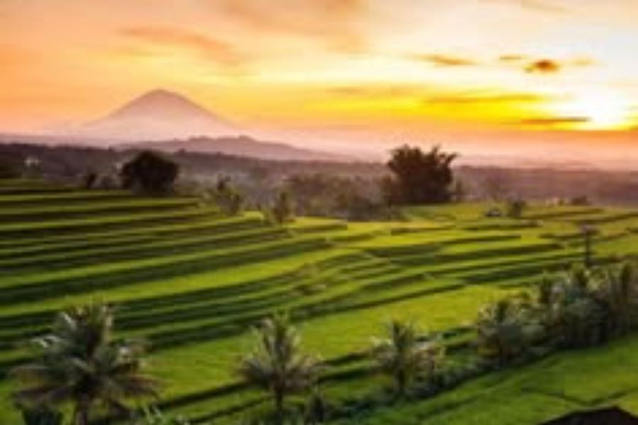 Ulun Danu Water Temple & Unesco Rice Terrace Tour