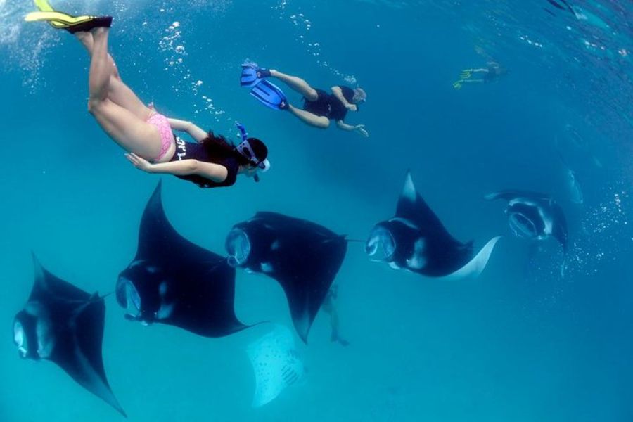 Nusa Penida Tour